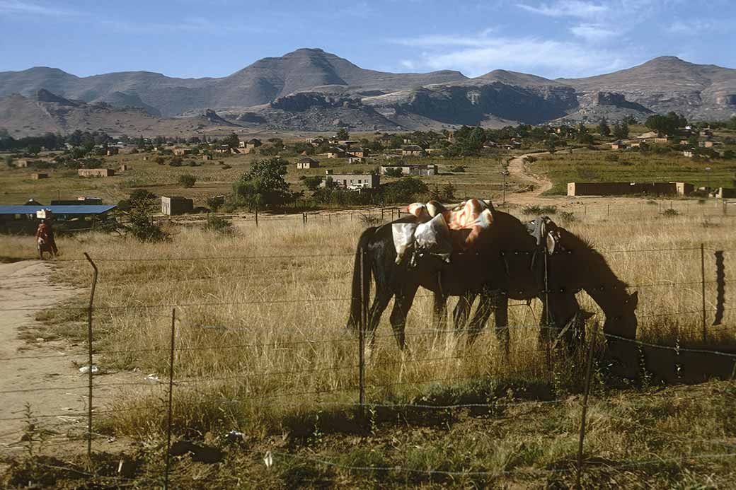 Lesotho: A beautiful land – diamondsorstones Prostitutes Butha-Buthe